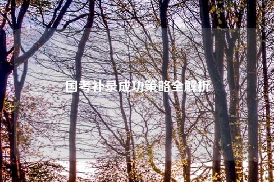 国考补录成功策略全解析