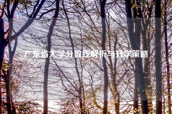 广东省大学分数线解析与升学策略