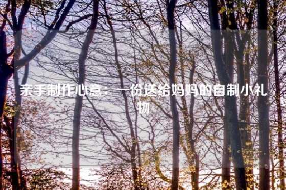 亲手制作心意：一份送给妈妈的自制小礼物