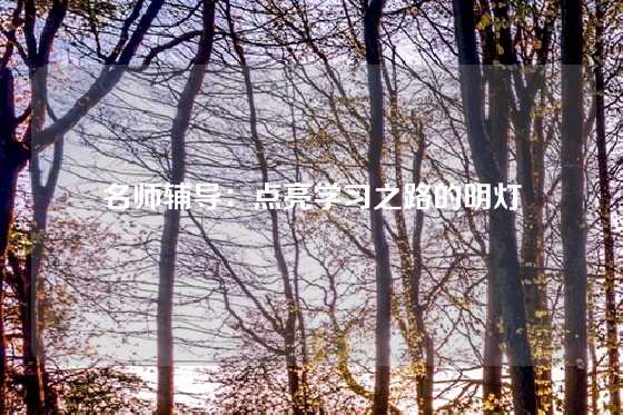 名师辅导：点亮学习之路的明灯
