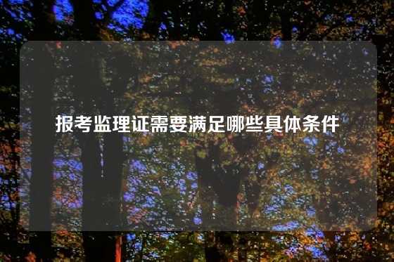 报考监理证需要满足哪些具体条件