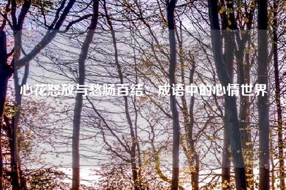 心花怒放与愁肠百结：成语中的心情世界