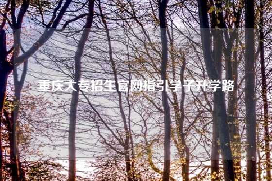 重庆大专招生官网指引学子升学路