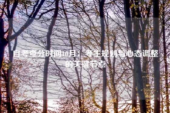 自考查分时间10月：考生规划与心态调整的关键节点