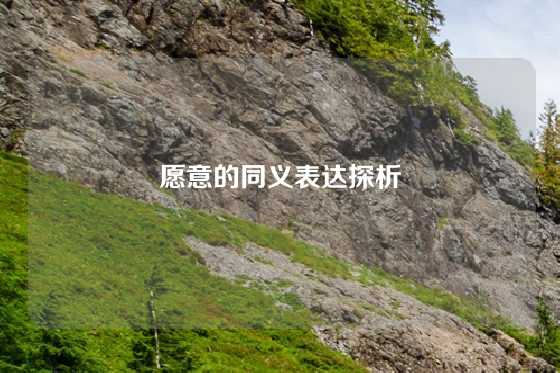 愿意的同义表达探析